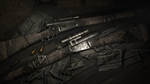 Hunt: Showdown 1896 La Luz Mala DLC STEAM RU/UA/KZ/СНГ
