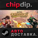 Harry Potter: Quidditch Champions Deluxe Edition STEAM