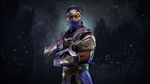 Mortal Kombat 11 Rain DLC STEAM АВТО RU/UA/KZ/СНГ