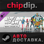 Hi-Fi RUSH: Teamplay Costume Pack DLC STEAM АВТО