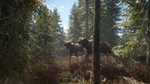 theHunter: Call of the Wild™ STEAM АВТО RU/UA/KZ/СНГ