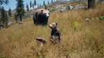 Railroads Online - Explorer DLC STEAM АВТО RU/UA/KZ/СНГ