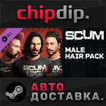SCUM Man Hair Deluxe 1 DLC STEAM АВТО RU/UA/KZ/СНГ