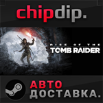 Rise of the Tomb Raider: 20 Year Celebration STEAM АВТО