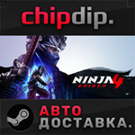 NINJA GAIDEN 4 STEAM АВТО RU/UA/KZ/СНГ