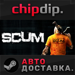 SCUM STEAM АВТО RU/UA/KZ/СНГ