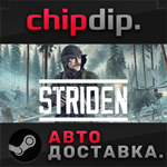 STRIDEN STEAM АВТО RU/UA/KZ/СНГ