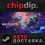 Wildgate STEAM АВТО RU/UA/KZ/СНГ
