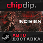 INCISION STEAM АВТО RU/UA/KZ/СНГ