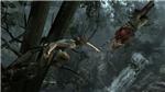 Tomb Raider (Akkaunt in Steam)