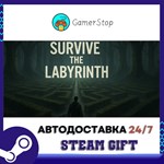 Survive the Labyrinth STEAM GIFT АВТО
