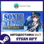 SONIC WINGS REUNION STEAM GIFT АВТО