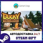Ducky The Curious STEAM GIFT АВТО