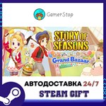 STORY OF SEASONS Grand Bazaar STEAM GIFT АВТО
