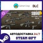 Squad Weapon Skins - Second Tour Pack STEAM GIFT АВТО