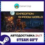 Expedition Shadow World STEAM GIFT АВТО