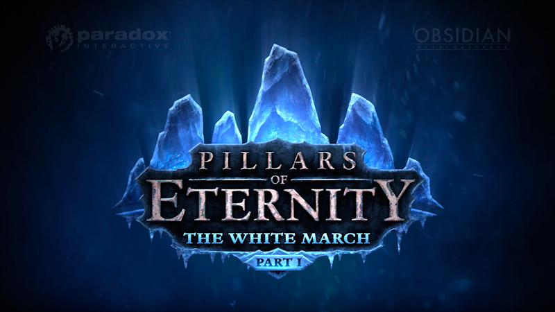 Pillars of Eternity: The White March - Part I (Steam)