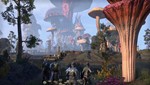 The Elder Scrolls Online:Morrowind - Upgrade(TESO KEY)