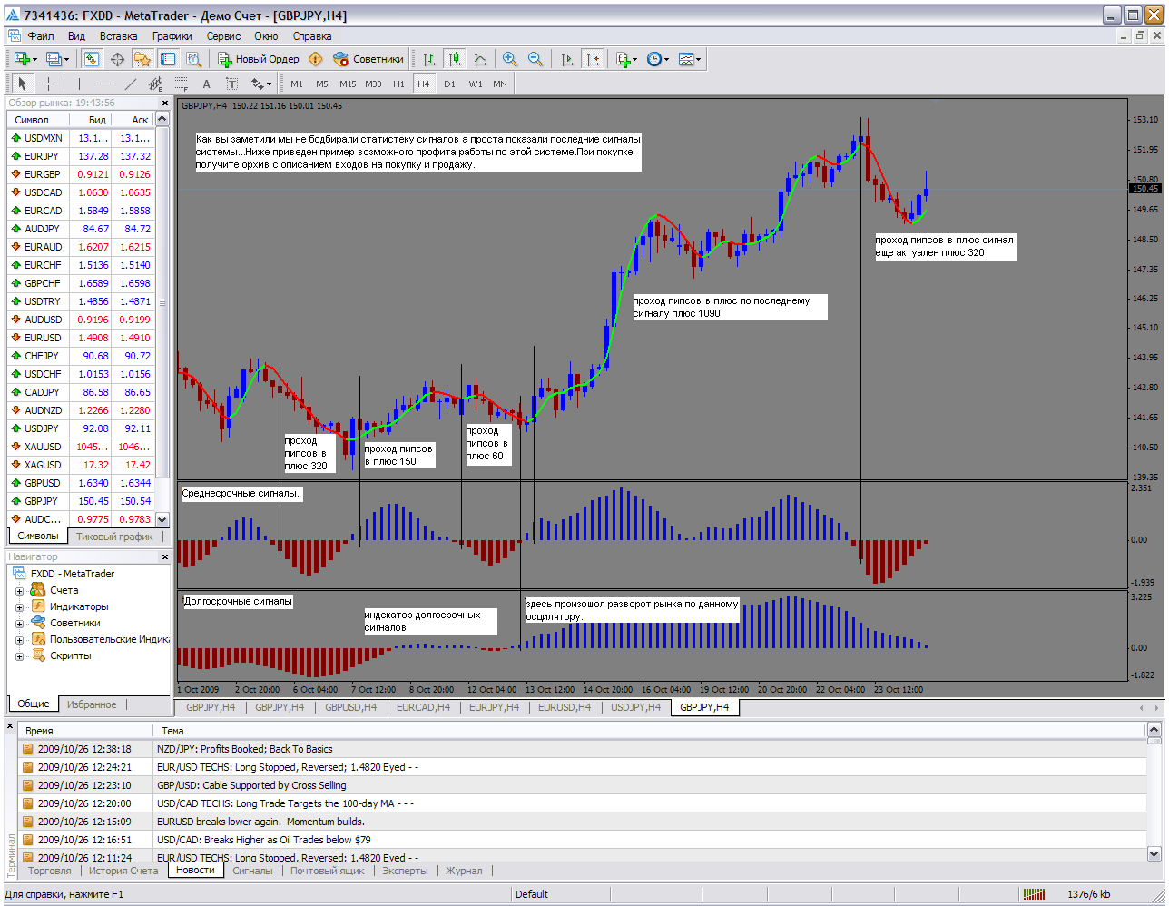 forex trading system scams elderly forex trading system scams elderly