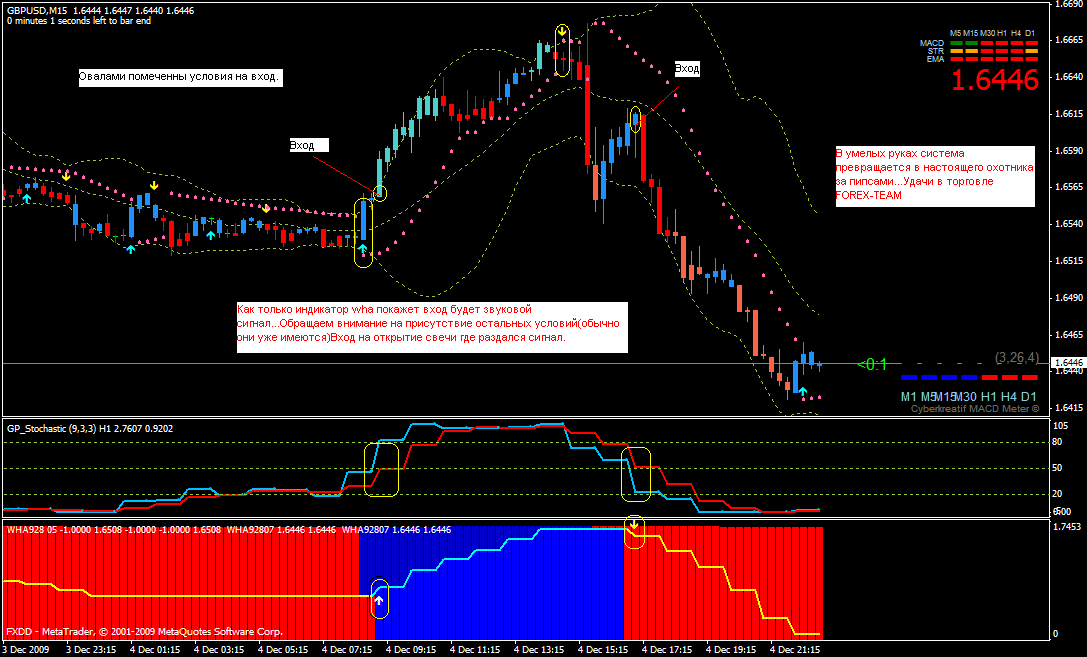 forexteam forexteam