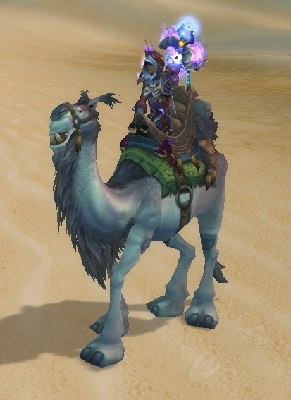 Белый Ездовой Верблюд (White Riding Camel) в наличии