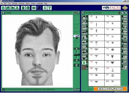 Файлы русской локации для программы FACES 4