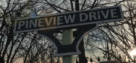 Pineview Drive (Steam ключ) Region Free