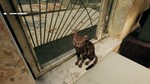 G.O.P.O.T.A * АВТО *Ключ STEAM*