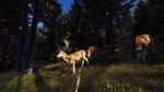 Way of the Hunter Elite Edition * STEAM РОССИЯ*
