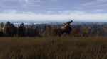 Way of the Hunter - Lintukoto Reserve DLC * STEAM RU*