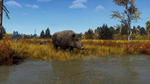 Way of the Hunter - Lintukoto Reserve DLC * STEAM RU*