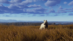 Way of the Hunter - Lintukoto Reserve DLC * STEAM RU*