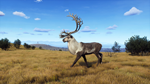 Way of the Hunter - Lintukoto Reserve DLC * STEAM RU*