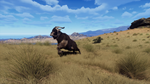 Way of the Hunter - Matariki Park DLC * STEAM РОССИЯ*
