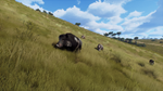 Way of the Hunter - Matariki Park DLC * STEAM РОССИЯ*