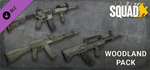 Squad Weapon Skins - Woodland Camo Pack DLC * STEAM*