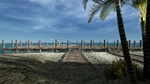 Ultimate Fishing Simulator - Florida DLC * STEAM RU*