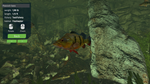 Ultimate Fishing Simulator - Aquarium DLC * STEAM RU*