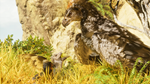 ARK: Survival Ascended * STEAM РОССИЯ*
