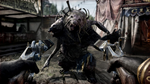 Hunt: Showdown 1896 * STEAM РОССИЯ*