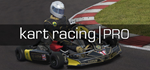 Kart Racing Pro * STEAM РОССИЯ*