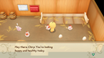 STORY OF SEASONS: Friends of Mineral Town - Chick Costu