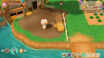 STORY OF SEASONS: Friends of Mineral Town - Chicken Cos