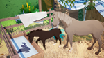 Foal Care - Horse Tales: Emerald Valley Ranch DLC