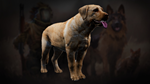 Icarus: Pet Companions Pack DLC * STEAM РОССИЯ*