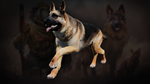 Icarus: Pet Companions Pack DLC * STEAM РОССИЯ*