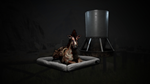 Icarus: Creature Comforts Pack DLC * STEAM РОССИЯ*
