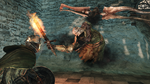 DARK SOULS™ II - Crown of the Old Iron King DLC