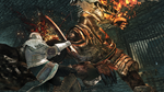 DARK SOULS™ II - Crown of the Old Iron King DLC