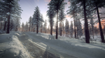 DiRT Rally 2.0 - Sweden (Rally Location) DLC * STEAM*